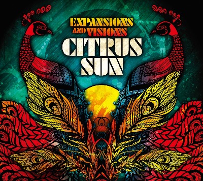 Citrus Sun（シトラス・サン）｜インコグニート別動隊による2年
