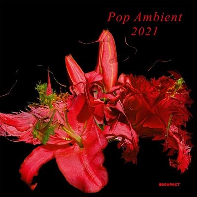 POP AMBIENT 2020