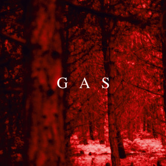 Gas(ガス)aka Wolfgang Voigt(ウルフギャング・フォイト)
