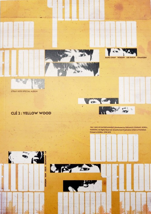 straykids I.N ☆ yellow wood 台湾盤（廃盤）K-POP/アジア