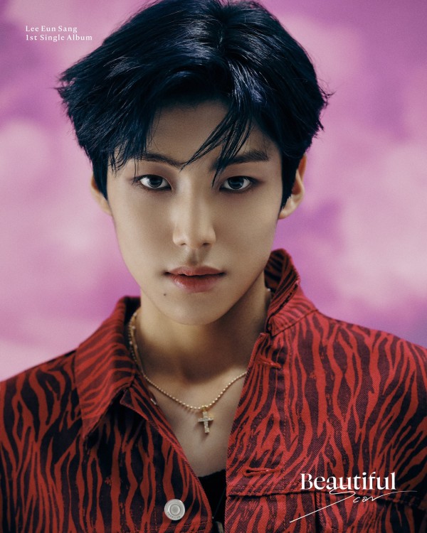 X1出身イ・ウンサン|ファーストシングル『Beautiful Scar』|先着特典ポスター付き
