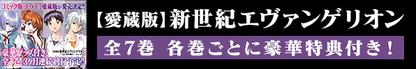 【愛蔵版】新世紀エヴァンゲリオン